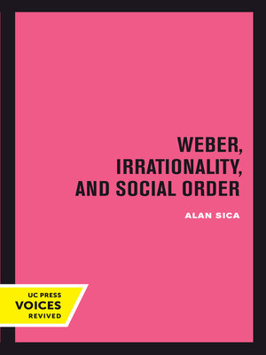 cover image of Weber, Irrationality, and Social Order